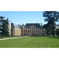 Château d'Oiron