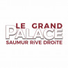  eTicket cinéma Le grand Palace Saumur valable jusqu'au 26 Novembre 2024